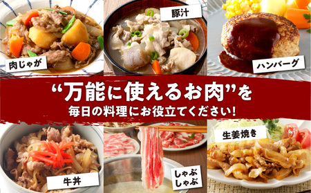 一家に一肉！ 鹿児島の万能お肉定期便　K000-T2326 送料無料 期間限定 豚肉 黒豚 牛肉 黒毛和牛 しゃぶしゃぶ 豚しゃぶ 冷しゃぶ 焼肉 小分け 食べ比べ セット バラエティ 定期 甘い 美味しい 冷凍 大容量 鹿児島市 土産 贈り物 プレゼント ギフト 贈答