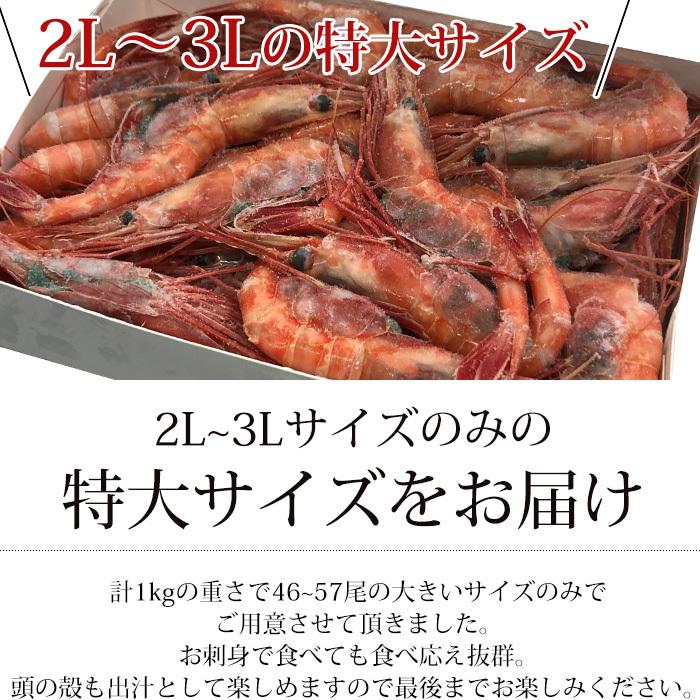 エビ 船上凍結天然甘えび 合計約1kg 2L〜3Lサイズ 46〜57尾