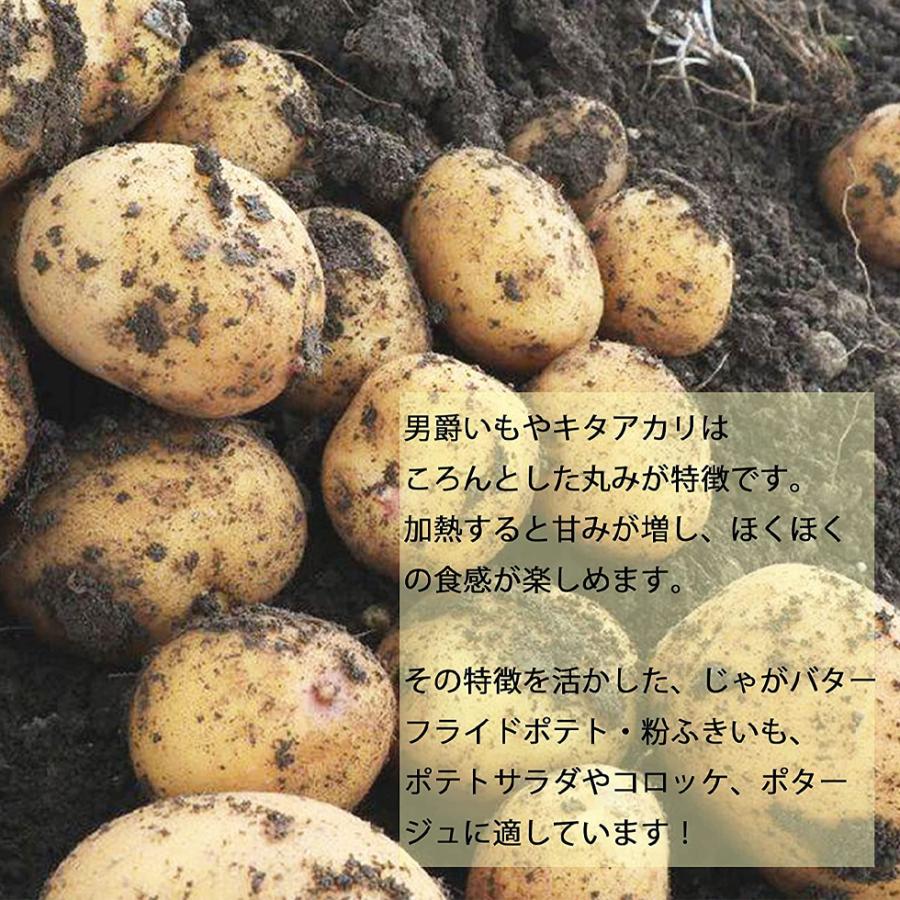 じゃがいも 訳あり 国産 業務用 5kg 大容量 新鮮 野菜 じゃがバター