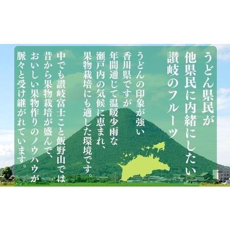 ふるさと納税 フルーツ 定期便 讃州丸亀 旬の果実便り 12ヶ月 12回 旬のお届け 果物 果物類 シャインマスカット 桃 キウイ ぶ.. 香川県丸亀市