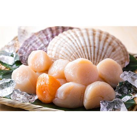 ふるさと納税 北隆丸 冷凍ほたてセット ほたて貝柱1kg [41〜80玉]・ハーフボイルほたて1kg [30〜34個] オホーツク産【 ホタテ 冷凍 海鮮 大粒 北.. 北海道枝幸町