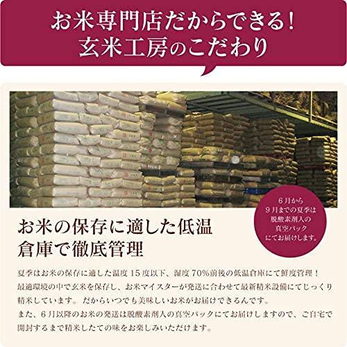 福島の農家蔵出し米 (ブレンド米) 10kg（5kg×2）