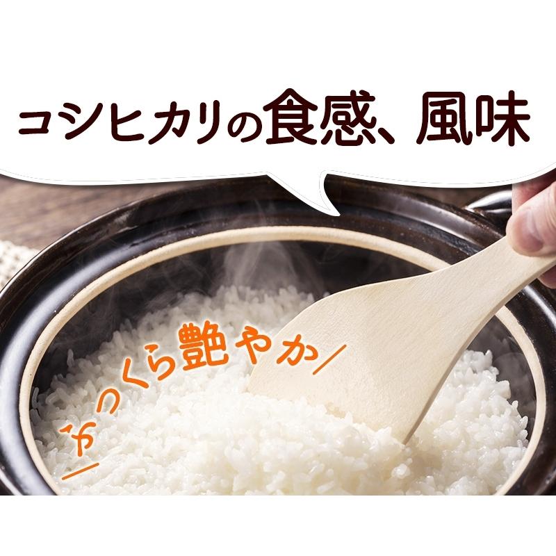 新米入荷 減農薬・無化学肥料栽培 コシヒカリ「福の舞」3kg 送料無料 令和5年福井県産