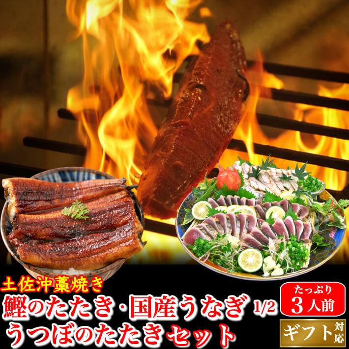 土佐久礼 藁焼き鰹たたきセット（国産うなぎ1 2・うつぼのたたき  ギフト