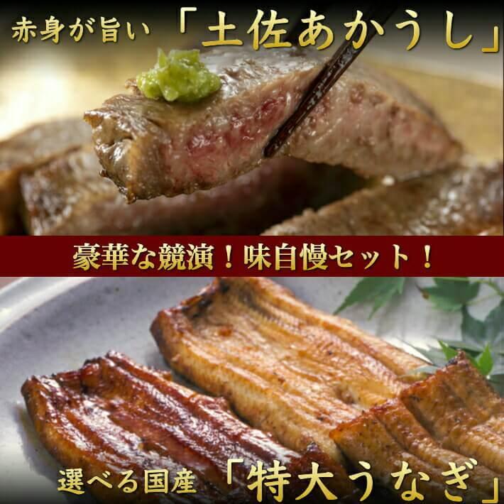 国産 特大うなぎ 土佐あかうし (サーロインステーキ)のセット 選べる鰻 ギフト