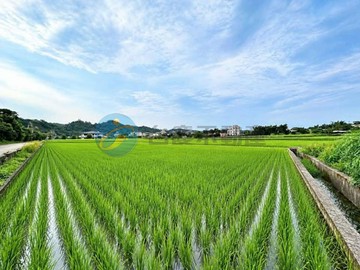 新埔★極少數一般農業區出售｜新竹縣新埔鎮巨埔段