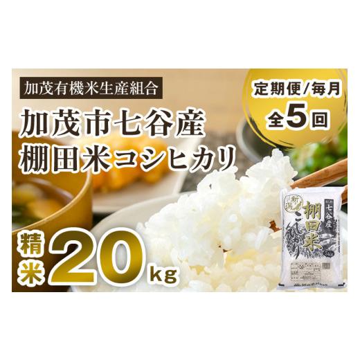 ふるさと納税 新潟県 加茂市 新潟県加茂市 七谷産 棚田米コシヒカリ 精米20kg（5kg×4）白米 加茂有機米生産組合