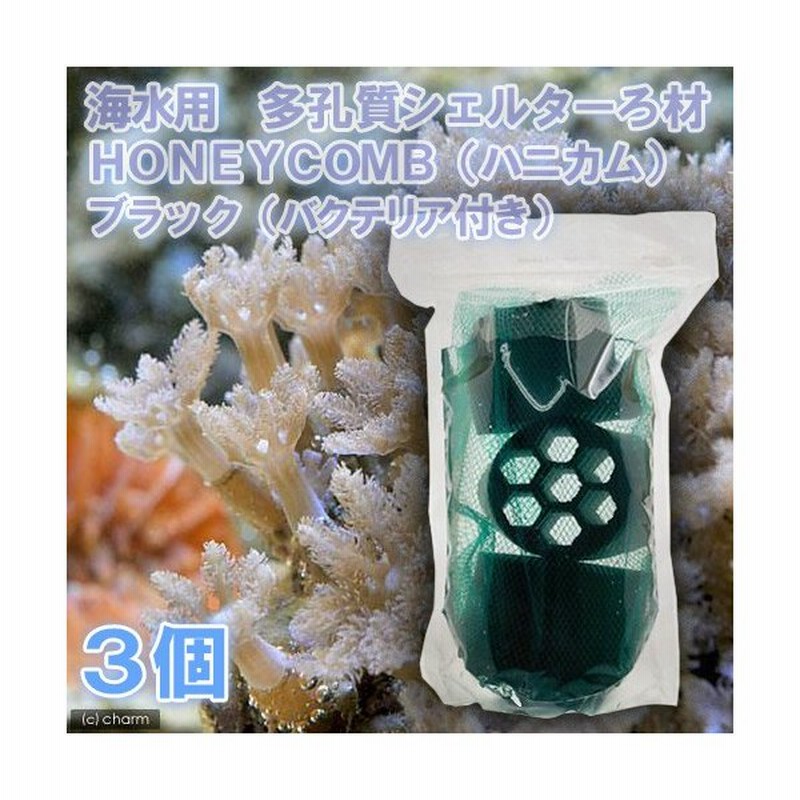 海水魚 ろ材 海水用 多孔質シェルターろ材 ｈｏｎｅｙｃｏｍｂ ハニカム ブラック バクテリア付き ３個 北海道航空便要保温 通販 Lineポイント最大0 5 Get Lineショッピング