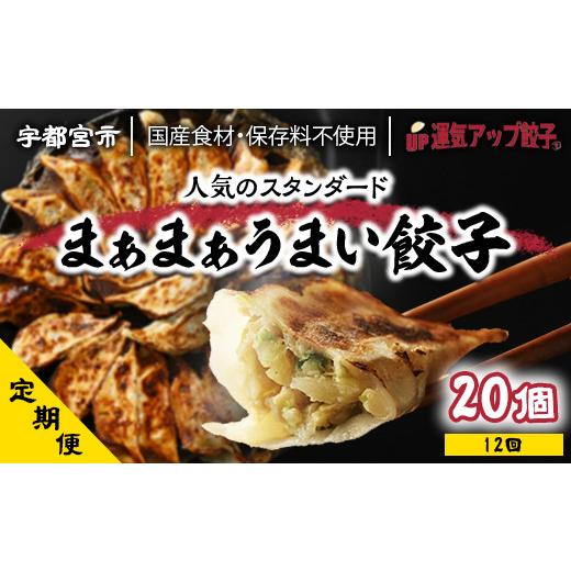 ふるさと納税 栃木県 宇都宮市 『定期便』宇都宮餃子　まあまあウマイ餃子20個　保存料不使用　全12回