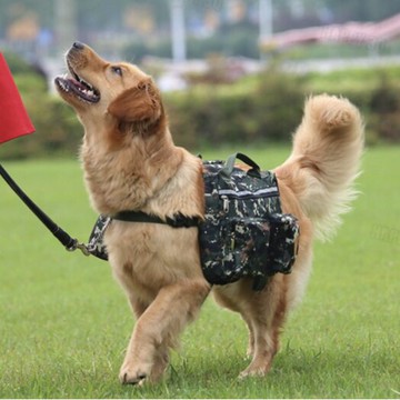 寵物背包大狗狗黃金獵犬拉不拉多野餐外出軍犬人手提狗後背雙用-紅/綠/藍【AAA3947】