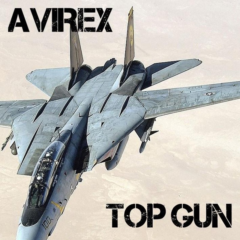 AVIREX アビレックス GOAT G-1 TOP GUN ゴートスキンレザー G1