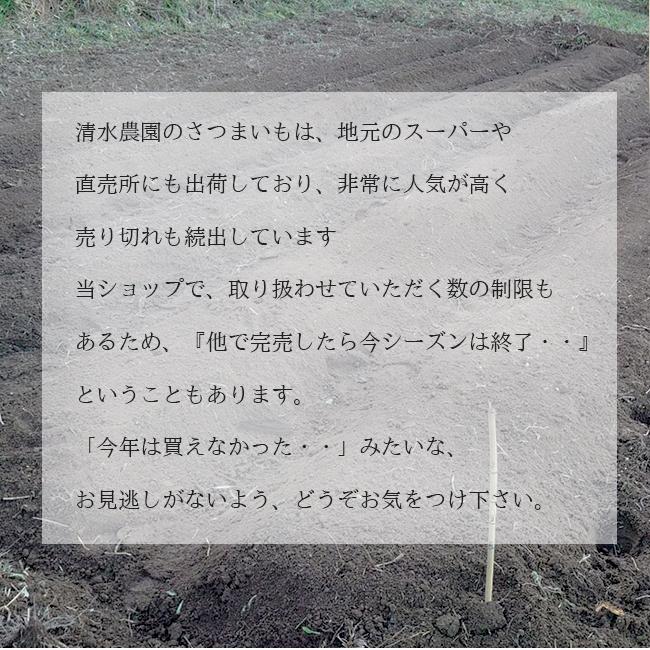 さつまいも 紅はるか 5kg  送料無料 生 土つき 減農薬 低農薬  清水農園 愛媛