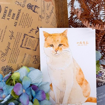 LS153貓咪明信片_14_Cat Postcard_14/明信片