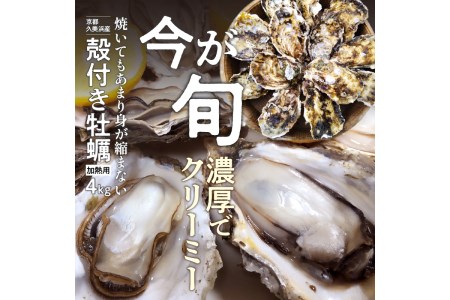 京都・久美浜産 殻付き牡蠣 4kg（40個前後）牡蠣ナイフ付