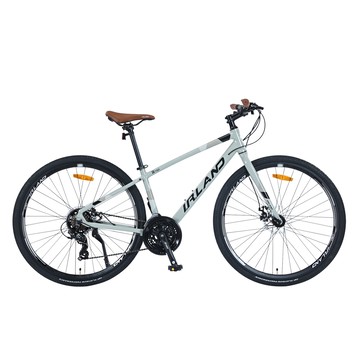 BIKEDNA R721 異型管平把鋁合金碟煞公路車 SHIMANO21速煞變合一內走線搭配前後快拆輪組配置最齊全