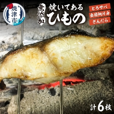 焼いてある ひもの 3種 6枚(a14-020)