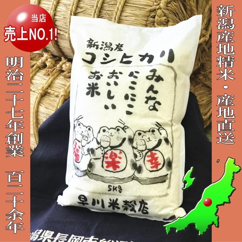 コシヒカリ 5kg 新潟県産コシヒカリ 送料無料 令和5年産 新米