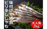 国内で味付け加工。ピリ辛ししゃも 2kg(500g×4箱）マル伊水産