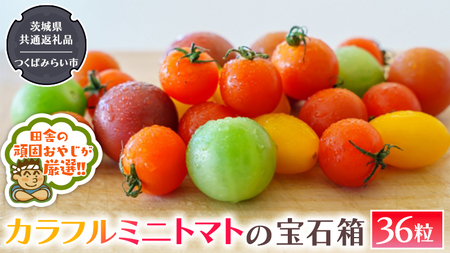 カラフルミニトマト の 宝石箱 36粒    トマト ミニトマト カラフル 野菜 フルーツ