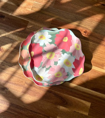 百日草大淺盤系列