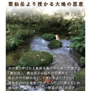 ふるさと納税 旬の野菜・フルーツセット定期便 13品目から15品目の豪華セット 長崎県雲仙市