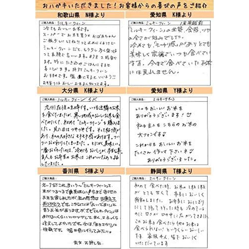 精米福井県産ミルキークイーン 白米 令和4年産 (20kg)