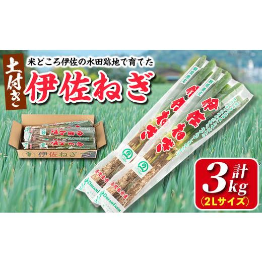 ふるさと納税 鹿児島県 伊佐市 isa410 米どころ伊佐の水田跡地で作った伊佐ねぎ(計3kg・2Lサイズ)保存がきくよう土付きで配送！