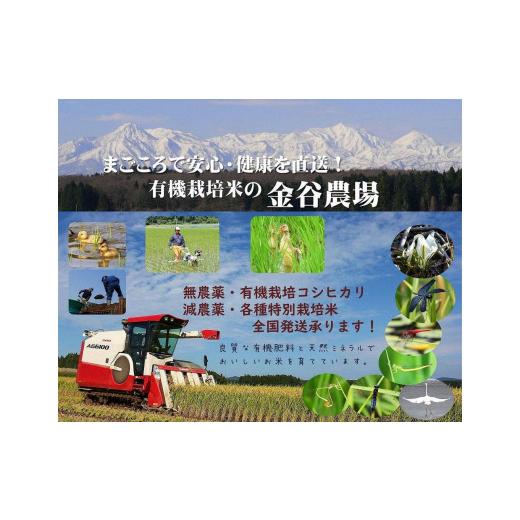 ふるさと納税 新潟県 上越市 新潟県産特別栽培米コシヒカリ　白米１０ｋｇ