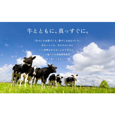 ふるさと納税 牧場の風を感じる　阿部牧場人気セット盛り沢山 熊本県阿蘇市
