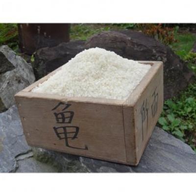 ふるさと納税 加美町 希少品種「ササシグレ」玄米10kg 全3回