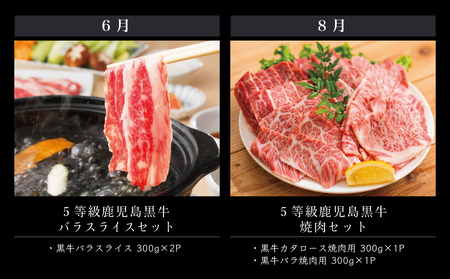 鹿児島黒牛定期便（全6回） 和牛日本一の「鹿児島黒牛」お肉 ステーキ すき焼き しゃぶしゃぶ グルメ お取り寄せ 国産 黒毛和牛 牛肉 定期便