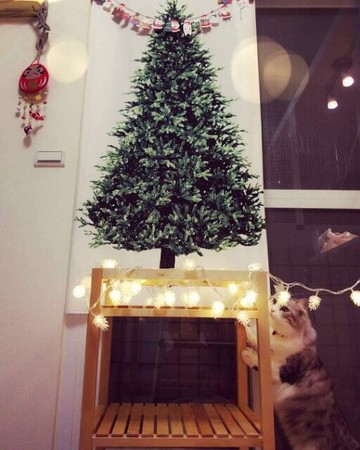 Merry Christmas 圣誕節松樹75*150cm掛布墻布