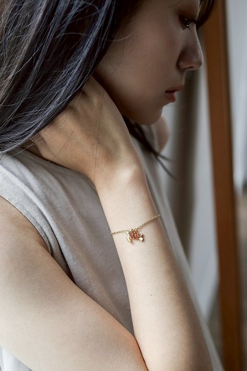 海洋生物 腦海工作室 手鍊 鯊魚 魔鬼魚 海龜 紙盒包裝