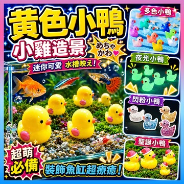 台灣免運出貨【黃色小鴨/小雞】聖誕小鴨|小雞小鴨|魚缸造景|水族造景|微景觀造景|水族|園藝造景|多肉|盆栽|聖誕節造景