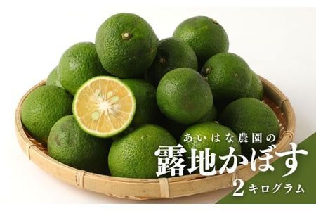 A-364露地カボス 2kg かぼす カボス 黄かぼす 黄カボス 柑橘 青果 くだもの 果物 フルーツ 大分県産 国産