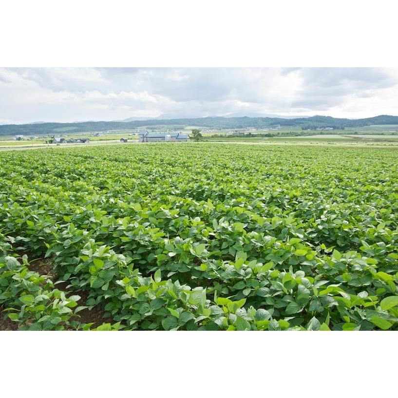 黒千石大豆納豆（30g×40個)×1箱(たれ・わさび付）北海道産 冷凍配送