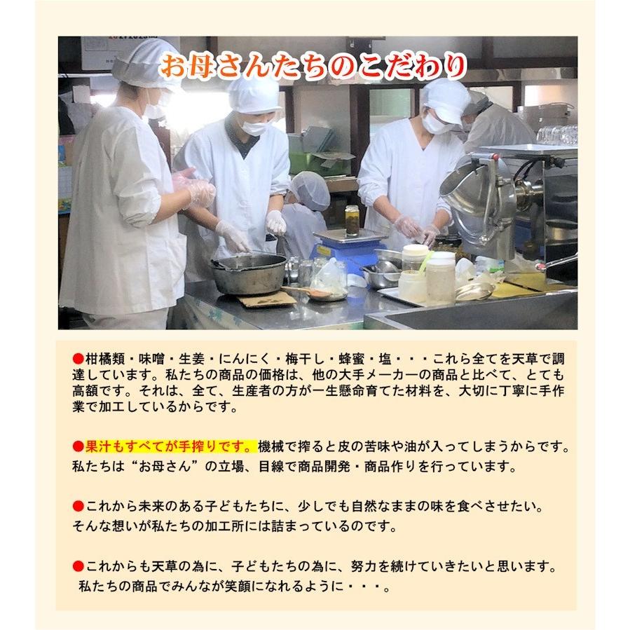 フルーツ みかん 晩柑 調味料 熊本県 天草市 食の天草にじ 天草晩柑調味料セット ６種類 化粧箱入 送料無料