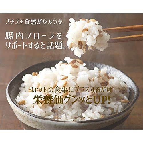 食物繊維量がもち麦の1.6倍「スーパー大麦のちから」(120g＊10袋)