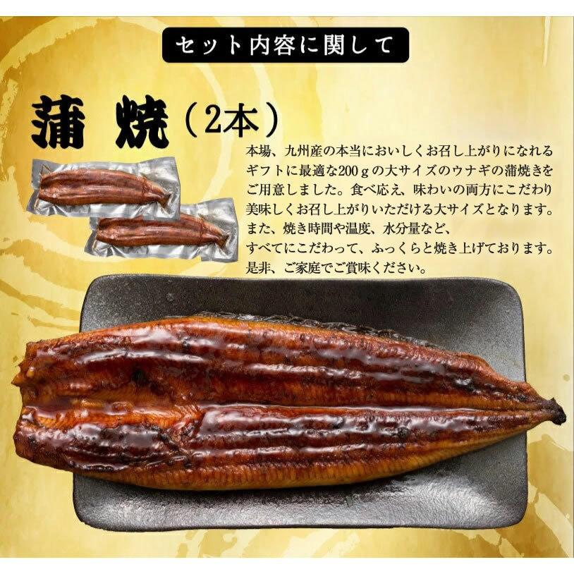 うなぎ 鰻 ウナギ 国産 うなぎ蒲焼  大サイズ蒲焼1尾 解凍前約200g(解凍後約185g)×2