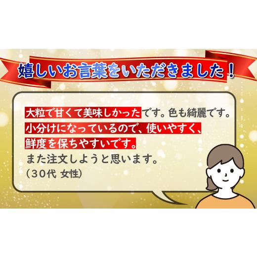 ふるさと納税 長崎県 佐世保市 C152 冷凍ブルーベリー「あいあいの雫」1,200g