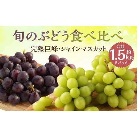 ふるさと納税 ご家庭用 旬のぶどう食べ比べ 完熟巨峰 シャインマスカット 詰め合わせ 計5パック 約1.5kg  長崎県時津町