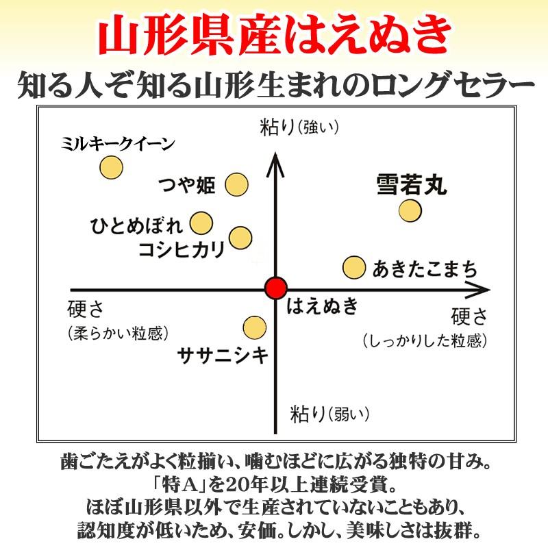 新米 令和5年産 米 お米 5kg×2 はえぬき 玄米10kg 山形産 白米・無洗米・分づきにお好み精米 送料無料 当日精米