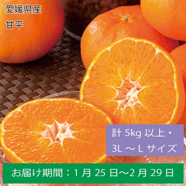 愛媛県産甘平計５Kg以上・３L〜Lサイズ