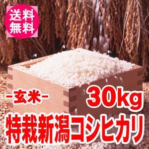 送料無料(北海道・九州・沖縄除く)令和5年産 新米 こだわり！特別栽培米新潟県阿賀野産コシヒカリ（玄米）30kg