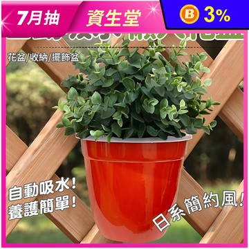 懶人自動吸水花盆 盆栽
