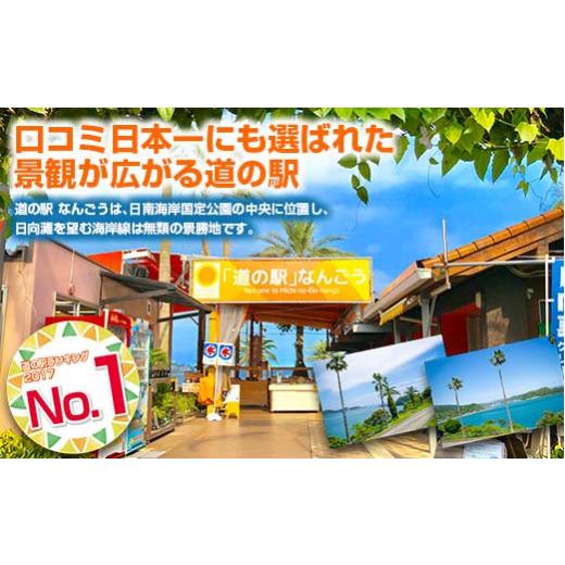 ふるさと納税 宮崎県 日南市 ≪数量限定≫日南市産完熟マンゴー(2L以上×9玉) フルーツ 果物 国産 令和6年発送分_HH1-23