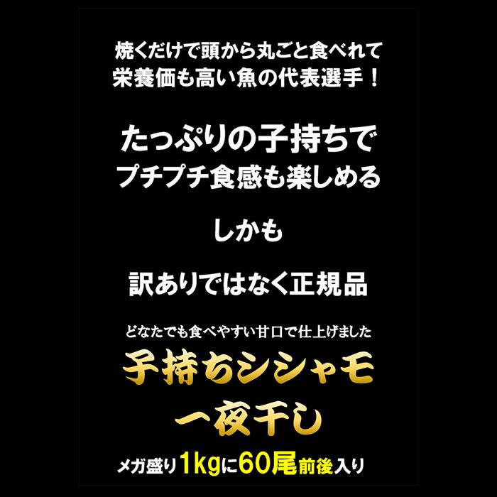 子持ちししゃも 一夜干し 山盛り1kg (500g×2パック) アイスランド産 シシャモ  おつまみ シシャモ