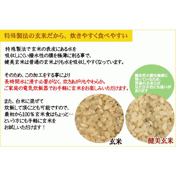 ポイント3倍 新米 玄米 無洗米 からだにやさしい健美玄米 令和5年産 2kg 送料別  (岩手ひとめぼれ 使用) 北海道沖縄へのお届けは送料1520円（SL）