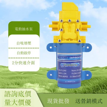 超濾機自吸增壓泵30W功率農村水缸抽水泵自動啟停隔膜泵批發[DD1213001]