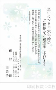 全96柄 2024年度版 喪中はがき印刷 普通郵便はがき「胡蝶蘭」 30枚 特選デザイン 63054_30